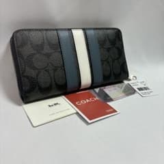 【新品】coach y2k longwallet stripe canvasのサムネイル
