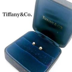 Tiffany & Co. バイザヤードピアス ダイヤ SV925 ケース付き Tiffany & Co. バイザヤードピアス ダイヤ SV925 ケース付き - メルカリ