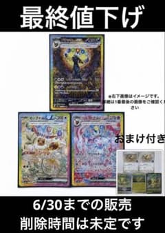 美品】ブラッキーex SAR&ニンフィアex SAR&イーブイex SAR3枚 - メルカリ