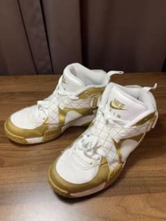 NIKE AIR RAID　METALLIC GOLD/WHITE 27.0のサムネイル