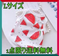 Lサイズ★1点限り★送料無料★即購入OK★新品未使用★スイカ柄★犬服のサムネイル