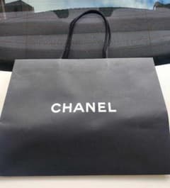 Chanel,Gucci,Dior,Burberry PAPER BAGのサムネイル
