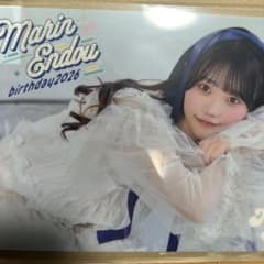 遠藤まりん クリアファイル 生誕記念2026のサムネイル