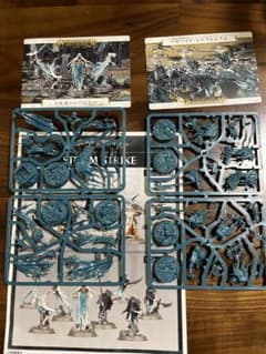 Warhammer ナイトホーント　グレイヴレイスストーカー　ミルモーンバンシーのサムネイル