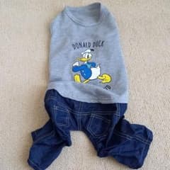 犬、猫用の服のサムネイル