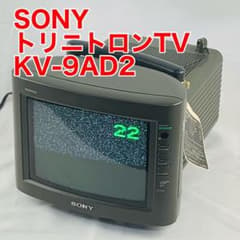 m50433536286_1.jpg?1704345659