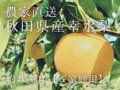 10玉〜13玉サイズ幸水梨約5kgご家庭用★送料込★秋田県産のサムネイル