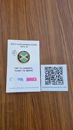 【非売品】大阪関西万博　ジャマイカ　ピンバッジ 大阪・関西万博2025 ジャマイカパビリオン限定ピンバッジ植え