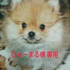 ひゅーまる様 専用のサムネイル