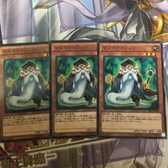 遊戯王 マスマティシャンのサムネイル