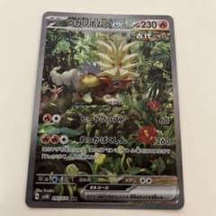 ウガツホムラ　SARのサムネイル