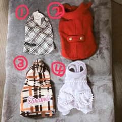犬の服 まとめ売り(バラ可)のサムネイル