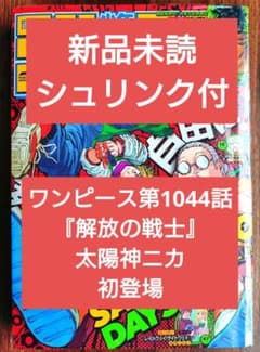 新品未読シュリンク【週刊少年ジャンプ2022年17号】ワンピース ニカ初