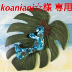 koaniani☆様 専用のサムネイル