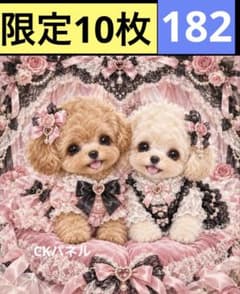 限定10枚！ トイプードル レアパネル生地 無くなり次第終了です - メルカリ