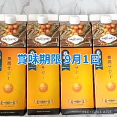 新品未開封】豊潤サジー 1000ml 9/1×4 - メルカリ