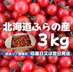 北海道富良野産ミニトマト3kg【規格外】 - メルカリ