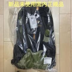 新品未使用国内正規品 アークテリクス ARRO 22 アロー22 カモフラ 別注