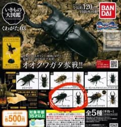 いきもの大図鑑 クワガタ03 ノコギリクワガタのサムネイル