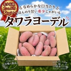 タワラヨーデル 希少品種　甘くて口当たりが滑らかなじゃがいも　たっぷり３Kgのサムネイル