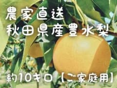 (10玉〜13玉サイズ豊水梨)約10kgご家庭用★送料込★秋田県産のサムネイル
