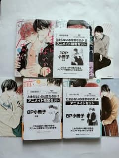 たまらないのは恋なのか ①②③④ アニメイト 小冊子付 - メルカリ