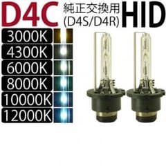 HID   D4  8000Kのサムネイル