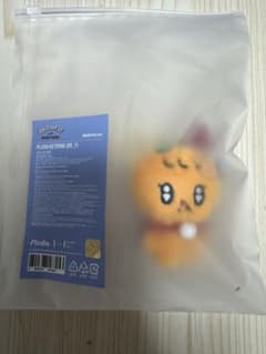 SEVENTEEN MINITEEN ホリデー スングァン プラッシュキーリング - メルカリ