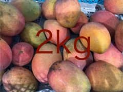 【訳あり】沖縄県産マンゴー2kg・緑多め・糖度低めのサムネイル