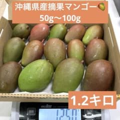 沖縄県産摘果マンゴー青マンゴーグリーンマンゴー／30 - メルカリ