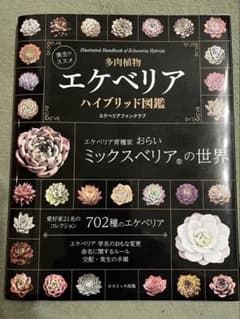 多肉植物 エケベリア ハイブリッド図鑑 本 おらい さんのサムネイル