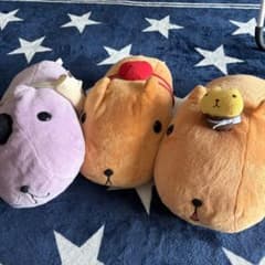 카피바라씨 봉제인형 3점 세트 리젠트군