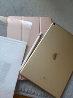 Apple iPad Pro 64GB 2017 10.5インチ 本体セットのサムネイル