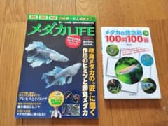 メダカ　2冊セットのサムネイル