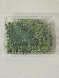 朝取り山椒　40g程度　4パックのサムネイル