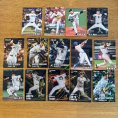 カルビー プロ野球カード プロ野球チップス スターカード サイン入り オマケ付き