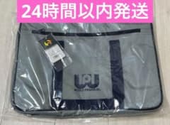 旧型 新品未使用 ワールドペガサス ワッペ スクバ 旧ワッペ グレー