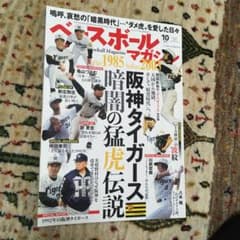 ベースボールマガジン　1985 2003 阪神タイガースのサムネイル