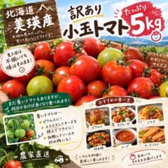 北海道産 農家直送　トマト 訳あり　5kg(箱込みの重さ)のサムネイル