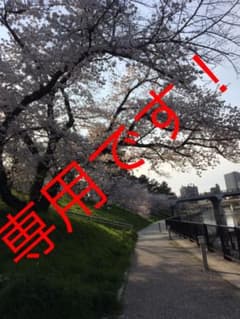 専用です！！のサムネイル