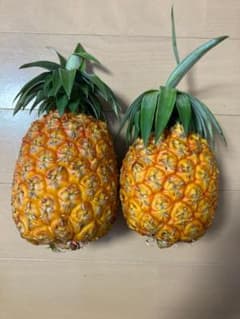 ゴールドバレル　パイン2玉のサムネイル