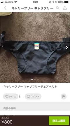 キャリーフリー チェアベルト（再出品）のサムネイル