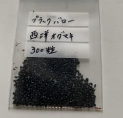 オダマキ種  300粒のサムネイル