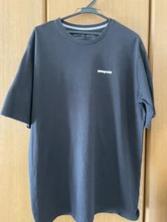 patagonia パタゴニア Tシャツのサムネイル