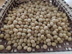 青森産　大豆（おおすず）1キロのサムネイル