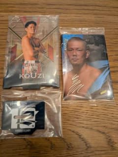 RIZIN 皇治 RIZIN一番くじ ウエハースのサムネイル