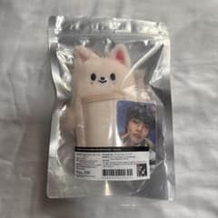 Stray Kids アイエン SKZOO フォクシニー クッション | Buyee, 온라인