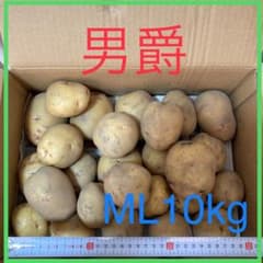新ジャガイモ（男爵）ML10kgのサムネイル