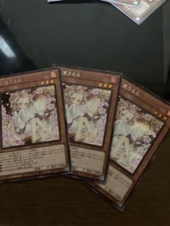 遊戯王 灰流うらら　3枚セット②のサムネイル