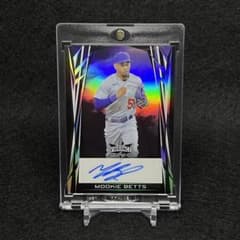 m50564670996_1.jpg?1719052461